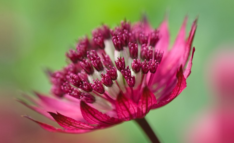 Welcome to Sue Bishop Photography